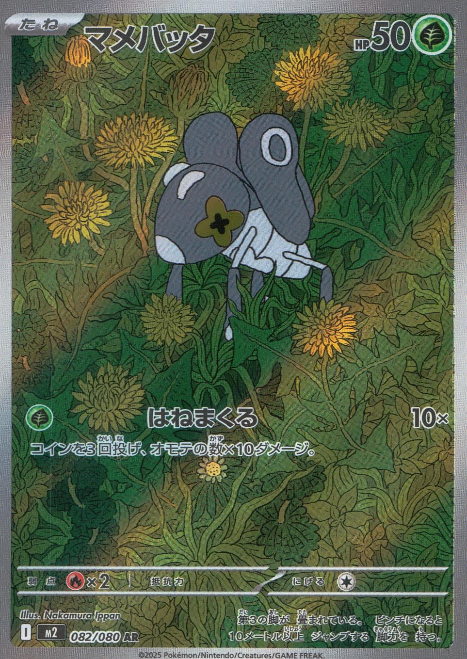 ☆082/080 マメバッタ