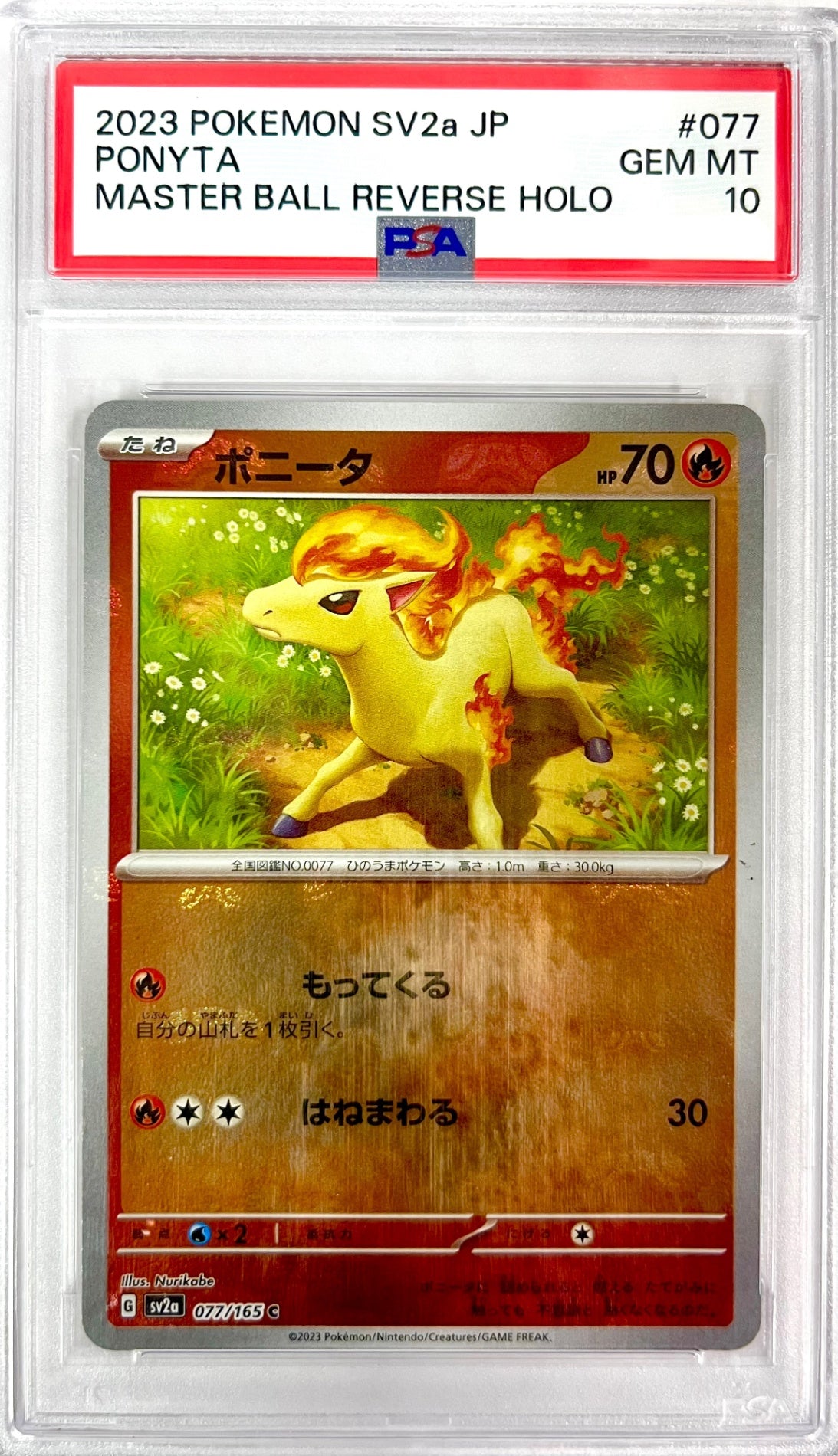 ★077/165/SV2A/BM2 ミラー)ポニータ(マスターボール柄) 鑑定品