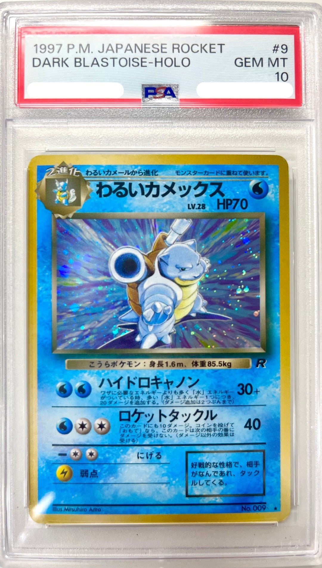 ★LV28HP70NO009-ORG4 わるいカメックス(右中央:R) 鑑定品