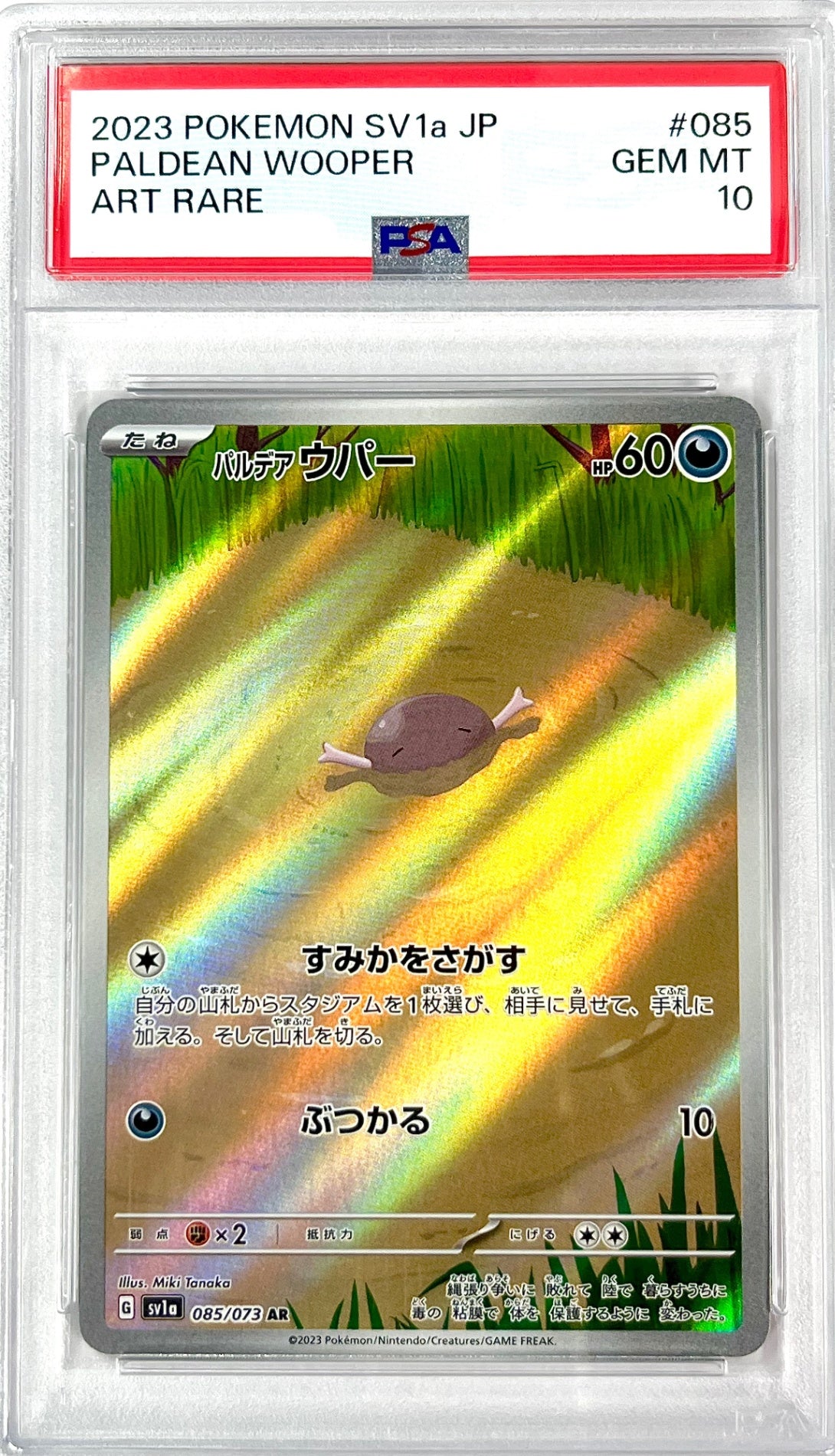 ★085/073/SV1A/B パルデアウパー 鑑定品