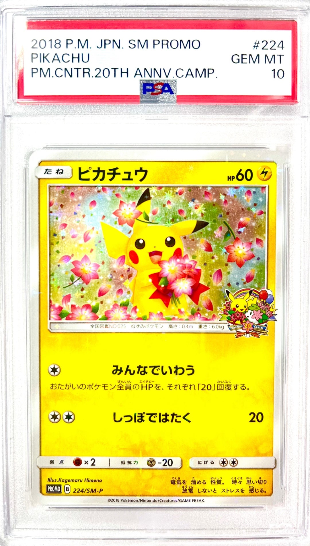 ★224/SM/P ピカチュウ 鑑定品