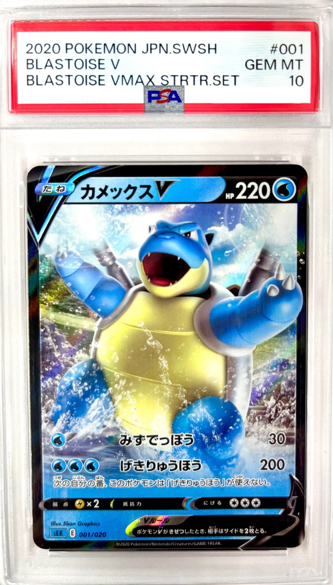 ★001/020/SEK/B カメックスV 鑑定品