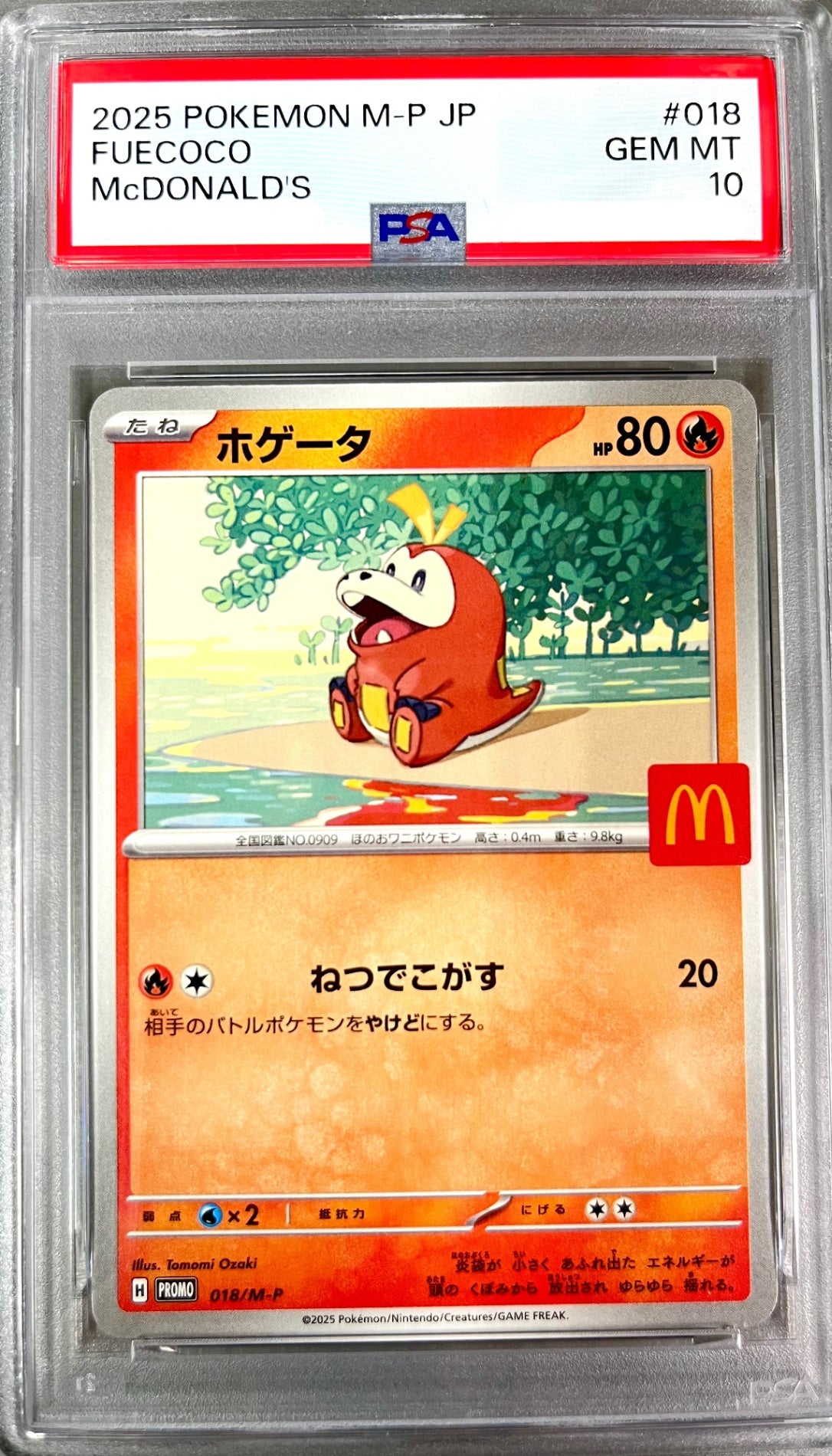 ★018/M-P ホゲータ 鑑定品