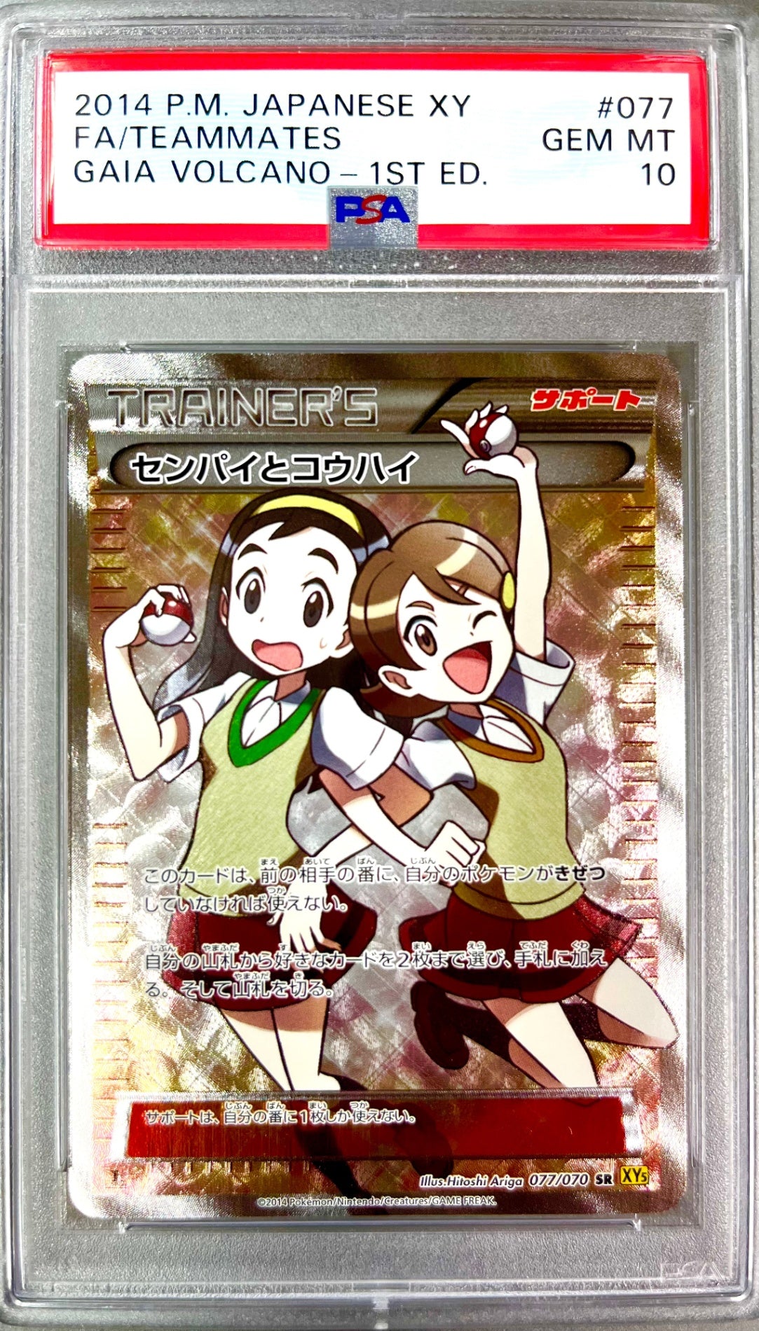 ★077/070/XY5/Y センパイとコウハイ 鑑定品