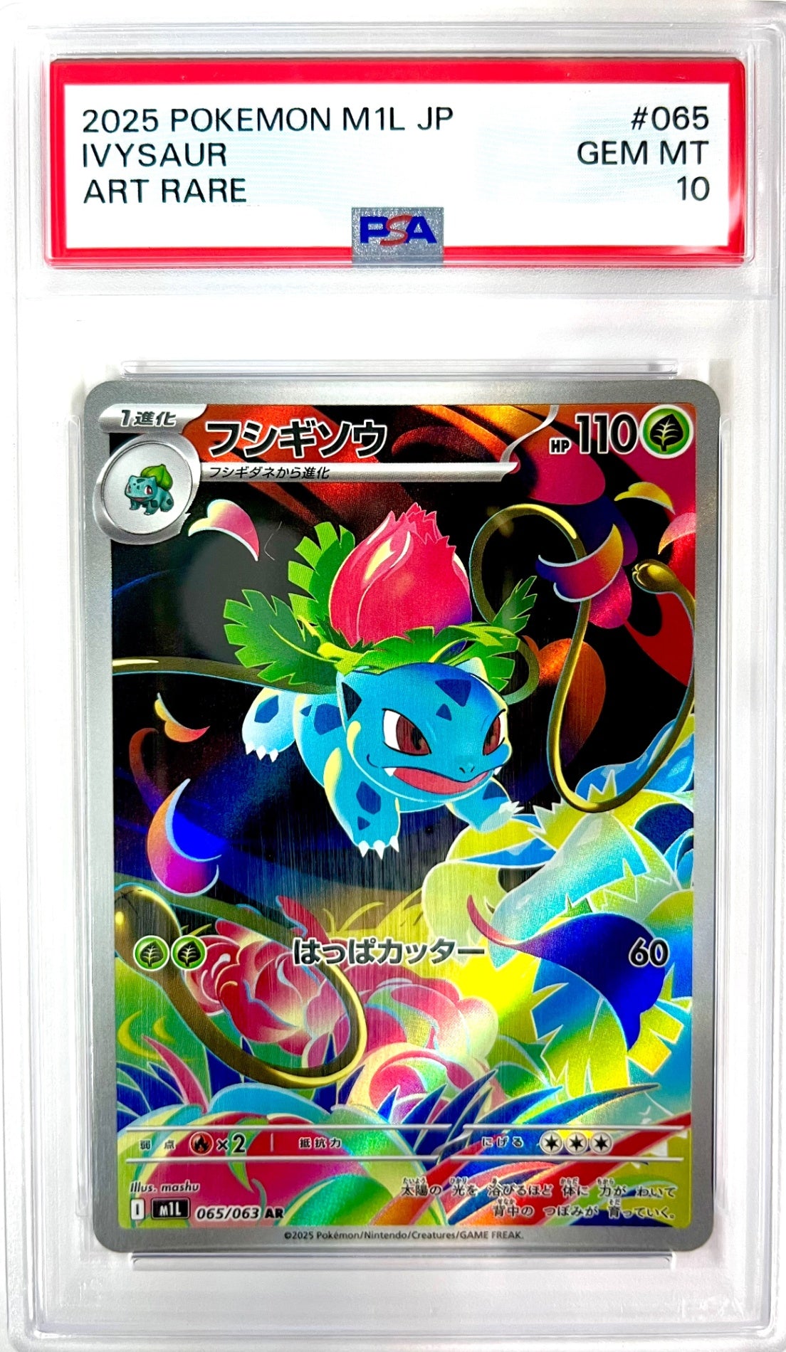 ★☆065/063 フシギソウ 鑑定品