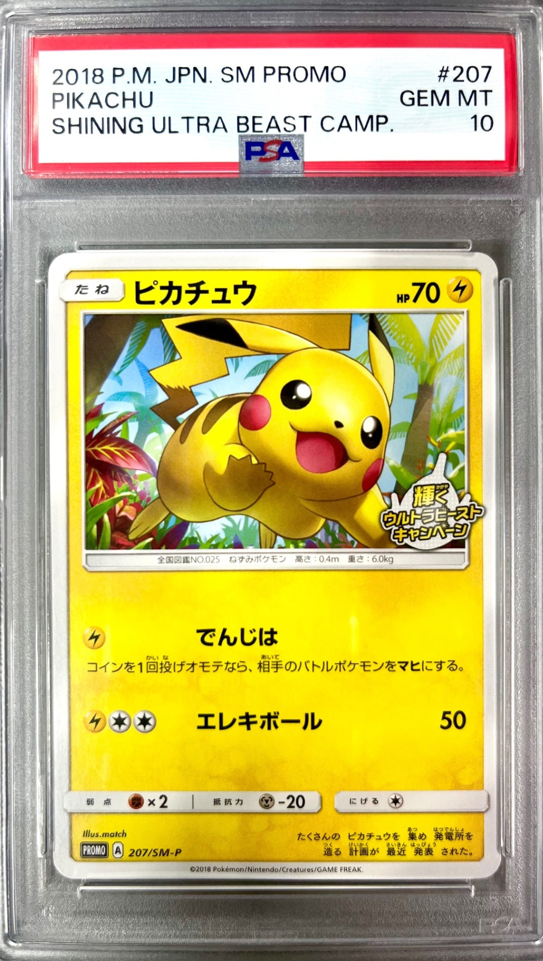 ★207/SM/P ピカチュウ 鑑定品