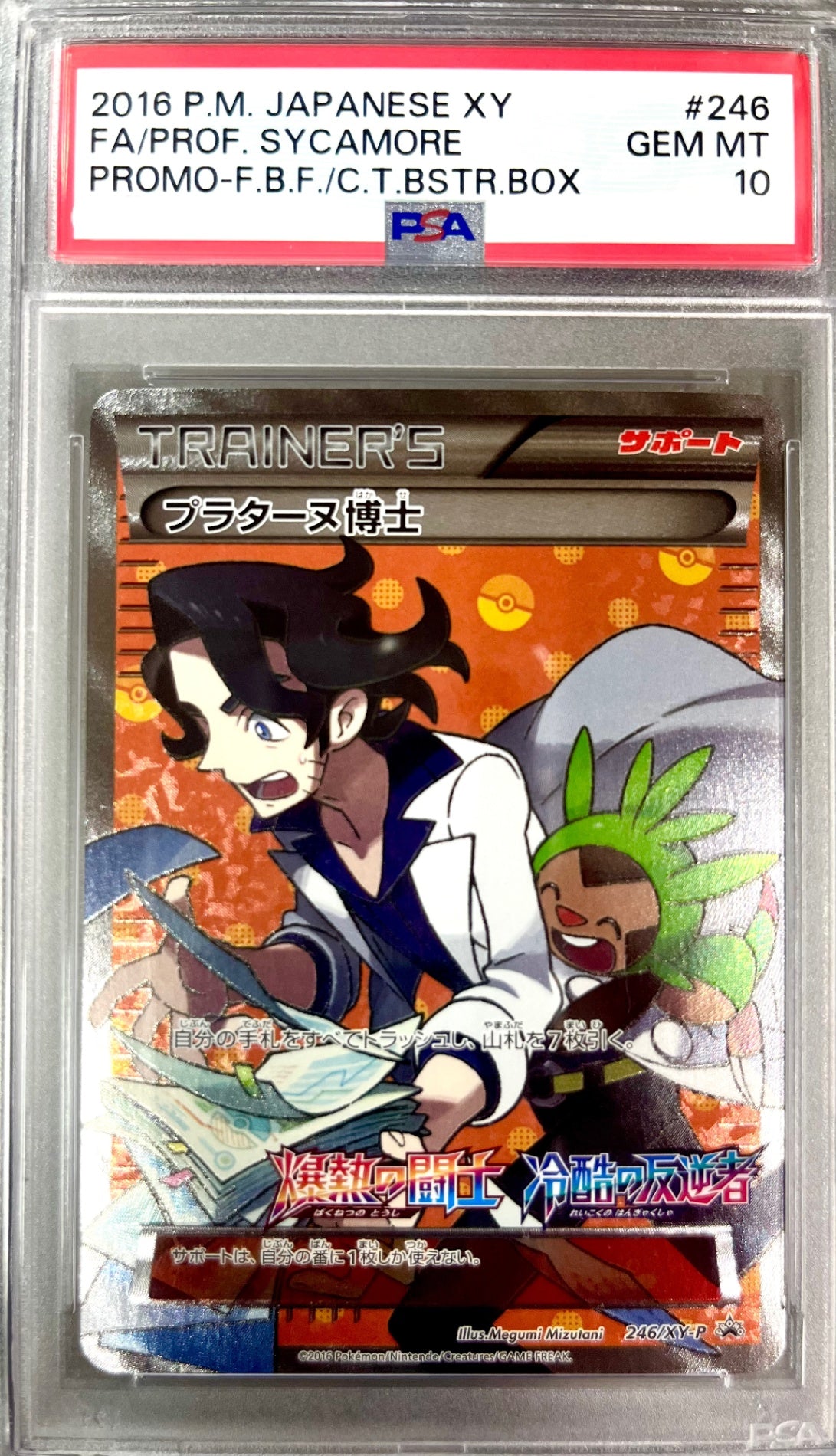 ★246/XY-P プラターヌ博士 鑑定品