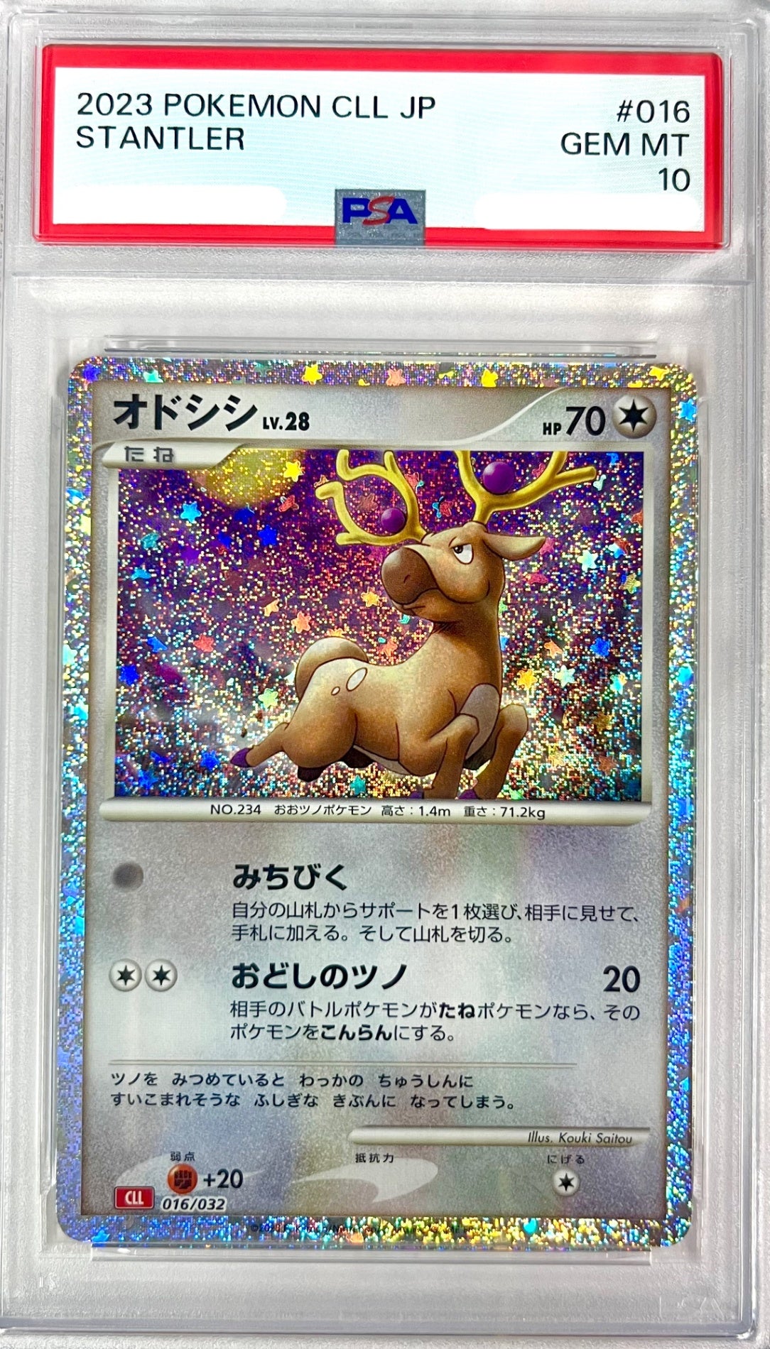 ★016/032/CLL オドシン 鑑定品