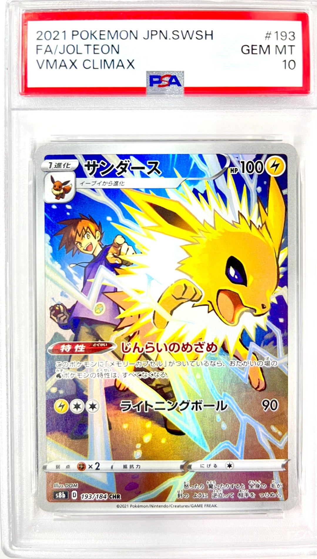 ★193/184/S8B/B サンダース 鑑定品