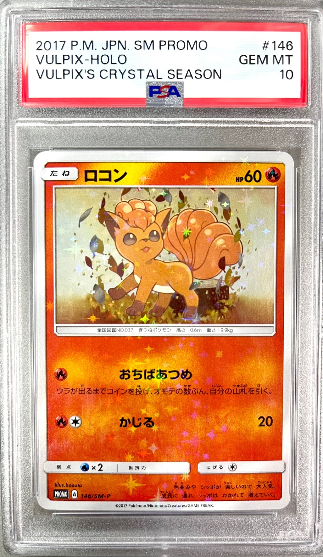 ★146/SM/P ロコン 鑑定品