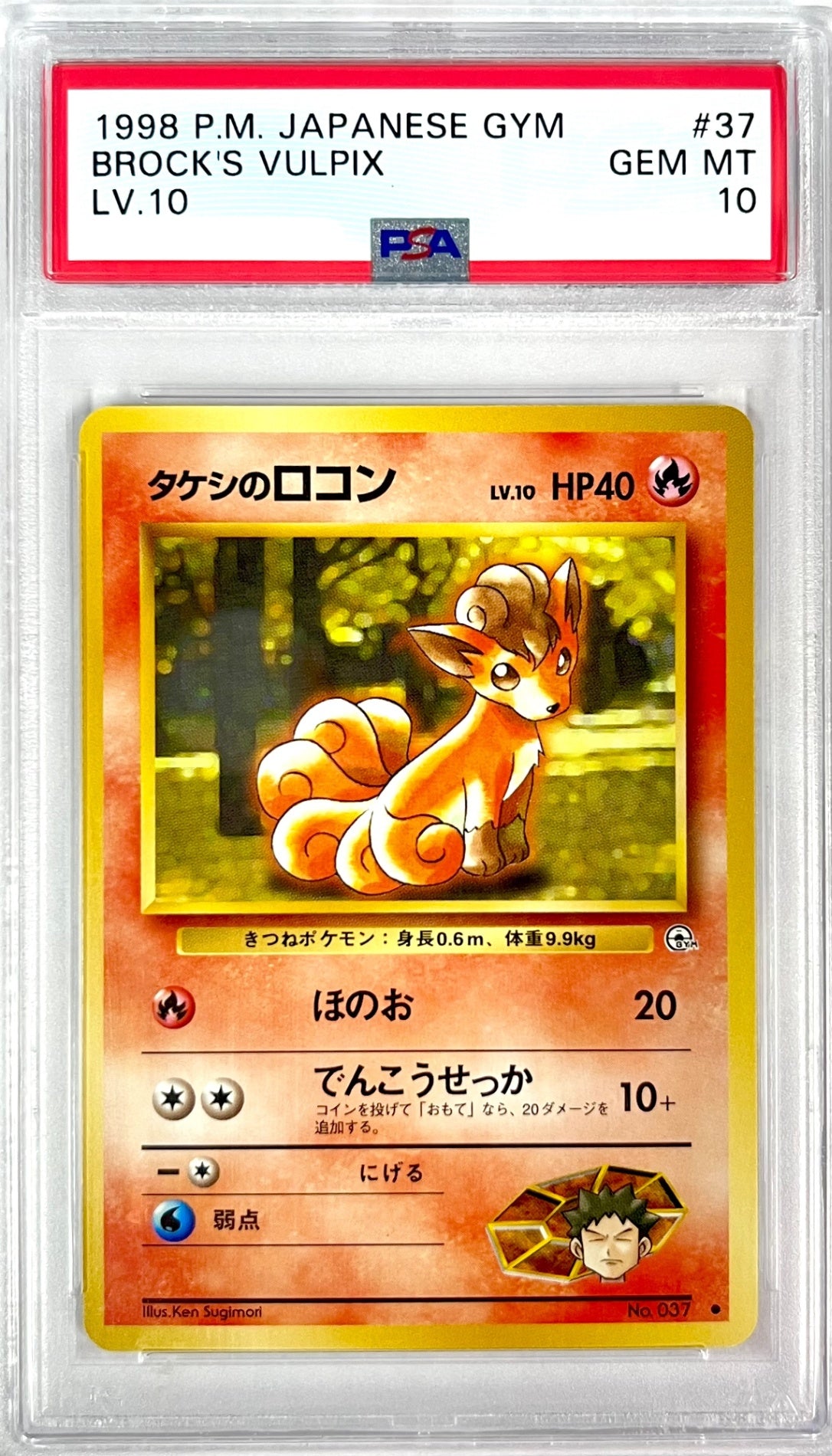 【レア】★LV10HP40NO037-GYMTD1 タケシのロコン(右中央:GYM) 鑑定品