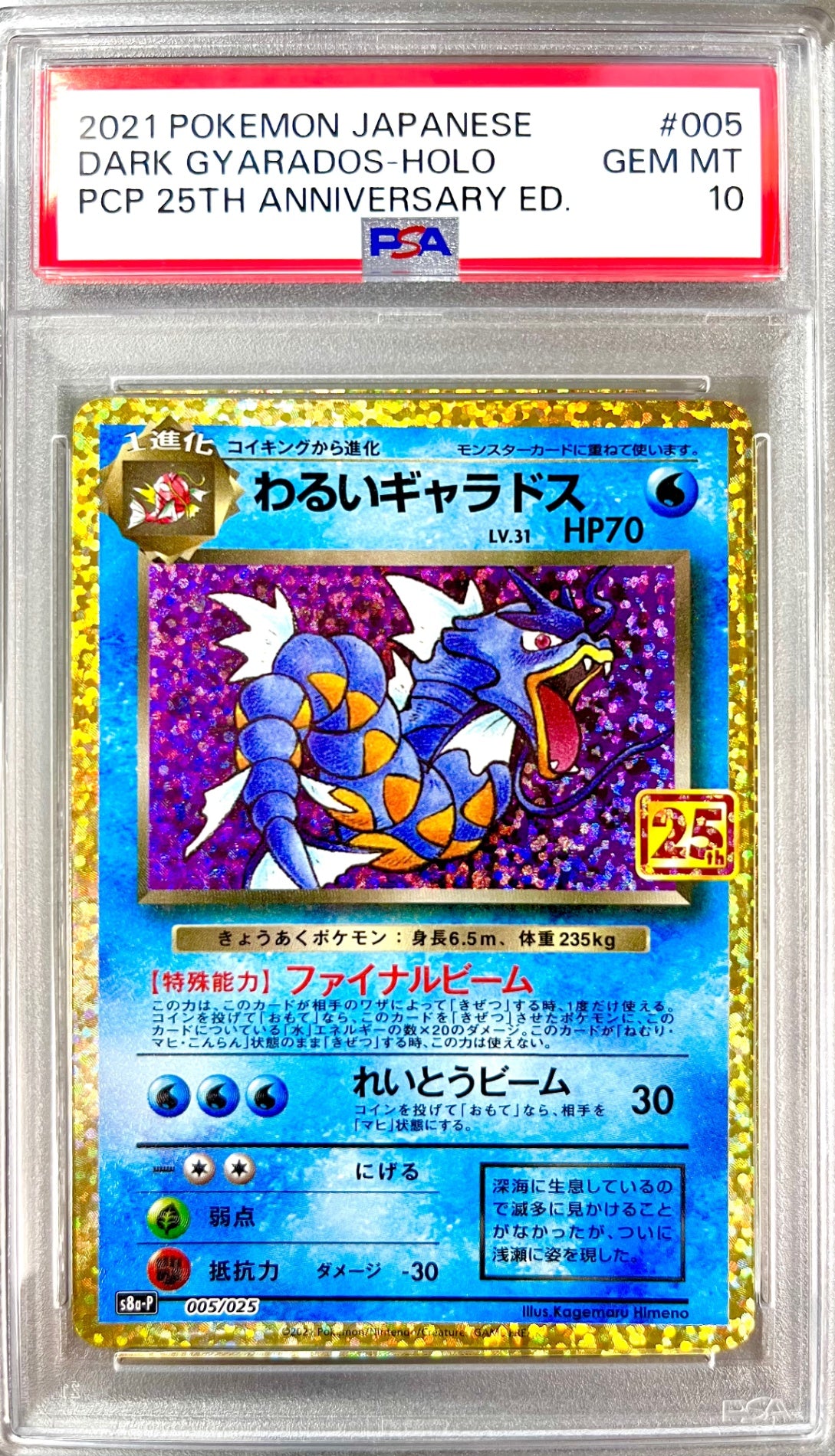 ★005/025/S8a/P/B わるいギャラドス 鑑定品