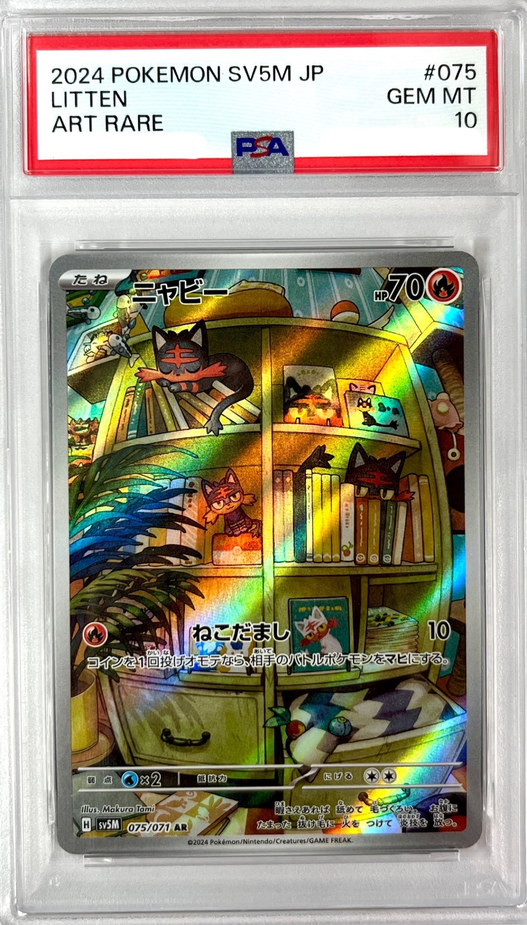 ★075/071/SV5M/B ニャビー 鑑定品