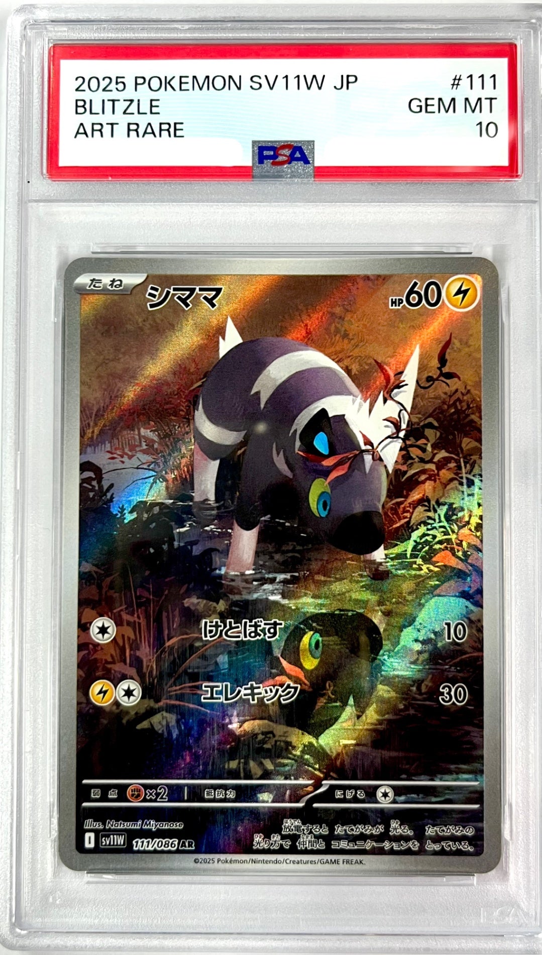 ★111/086 シママ　鑑定品
