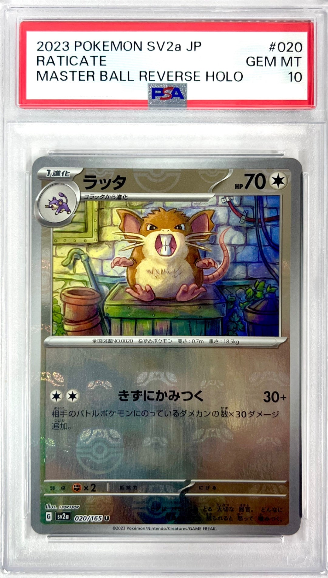 ★020/165 ミラー)ラッタ(マスターボール柄)　鑑定品