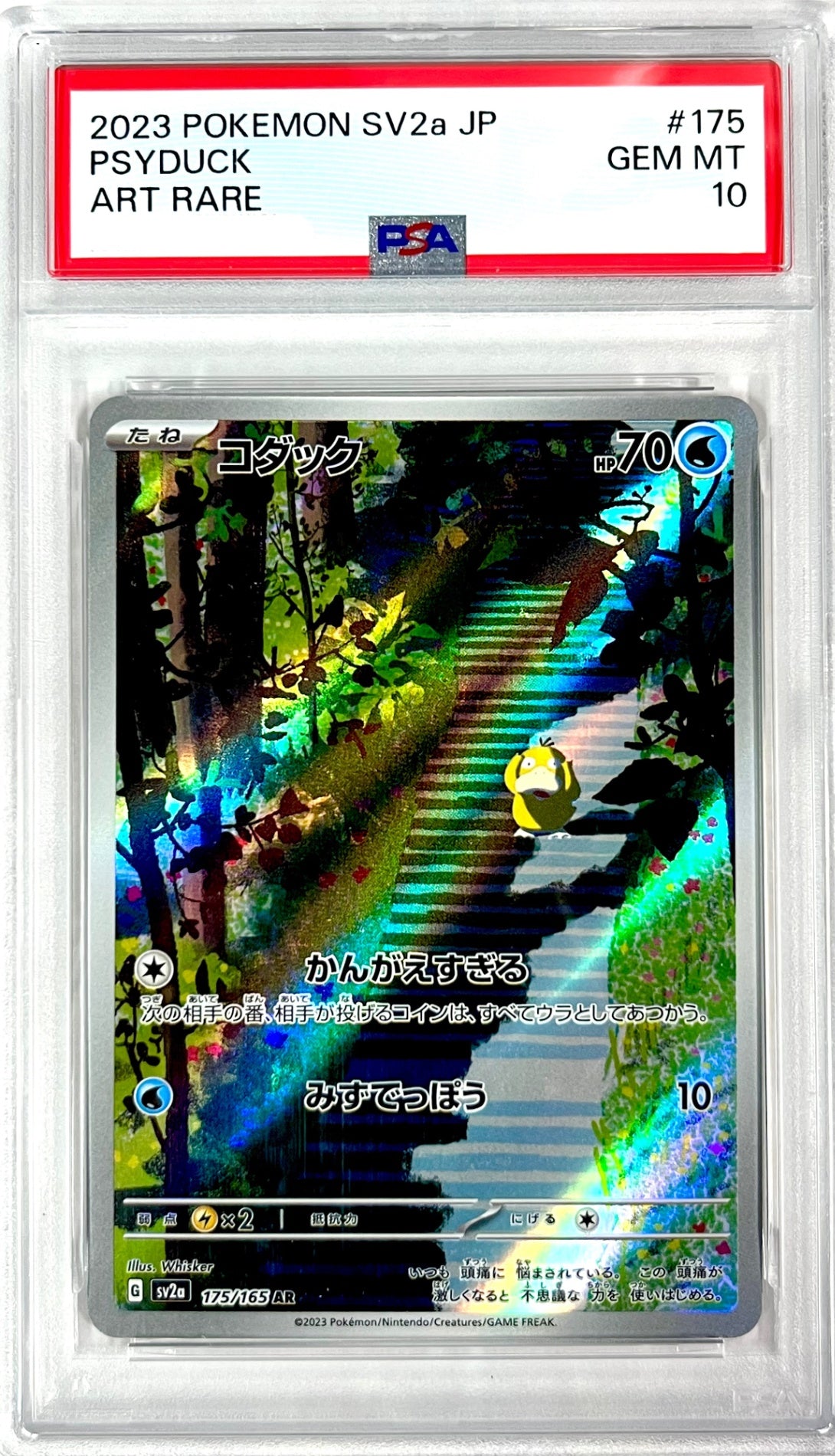 ★175/165/SV2A/B コダック 鑑定品