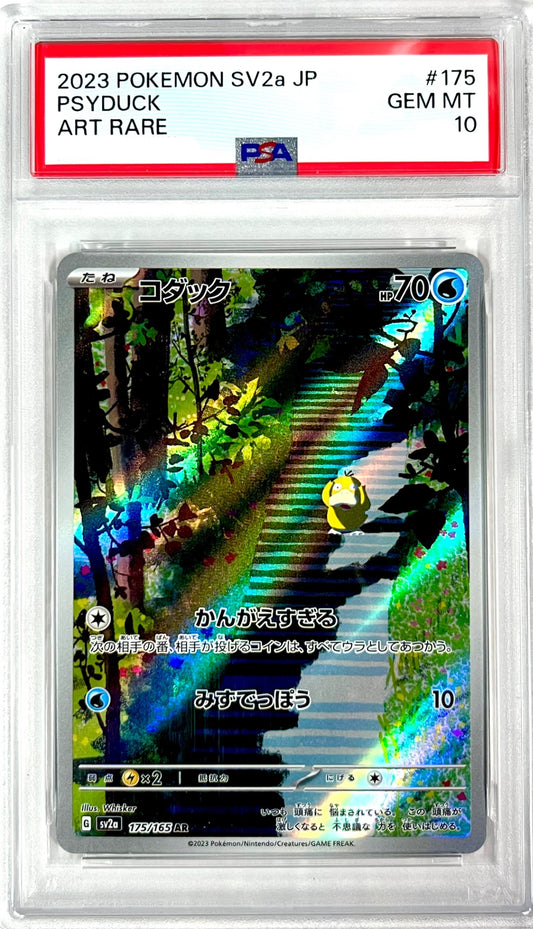 ★175/165/SV2A/B コダック 鑑定品
