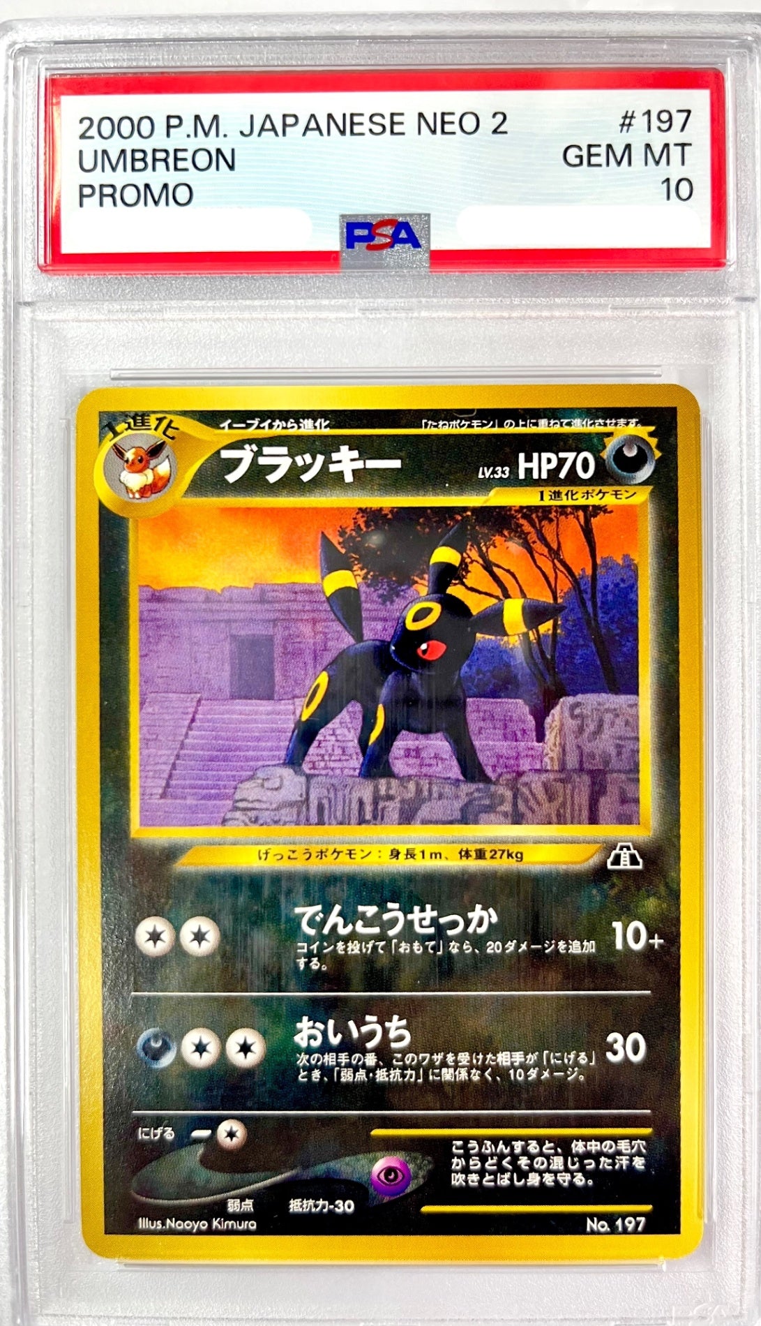 【レア】★LV33HP70NO197-NEOPF ブラッキー(右中央:遺跡）　鑑定品