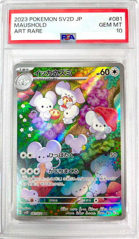 ★081/071/SV2D/B イッカネズミ 鑑定品