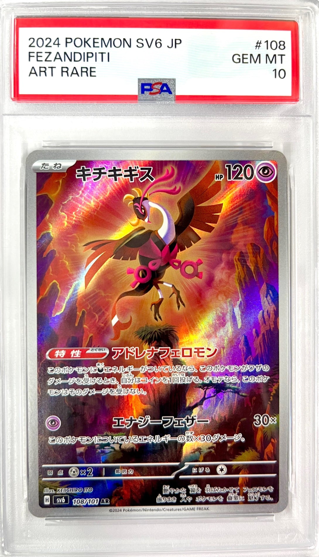 ★108/101/SV6/B キチキギス　鑑定品