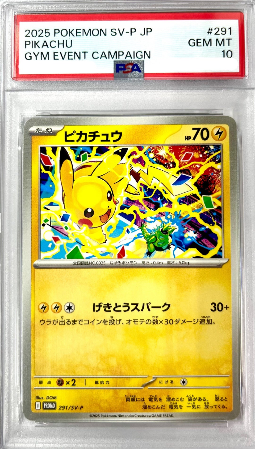 ★291/SV-P ピカチュウ　鑑定品