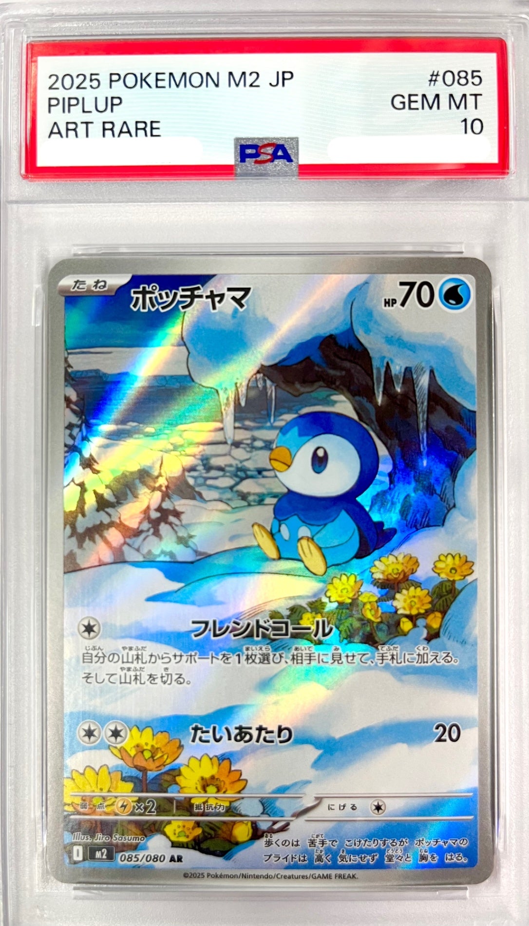 ★085/080 ポッチャマ　鑑定品