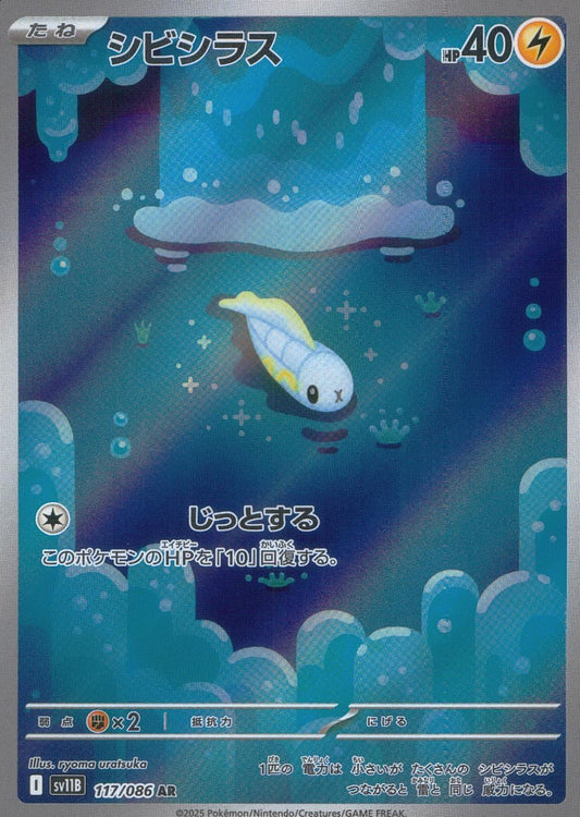 ☆117/086 シビシラス