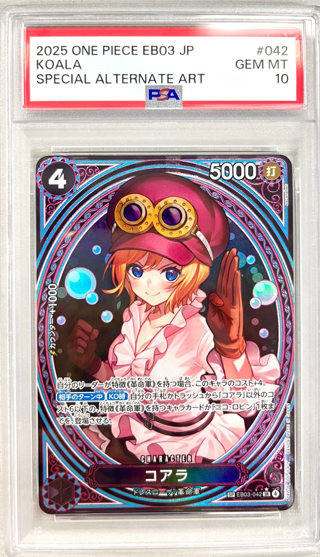 ★EB03-042 コアラ　鑑定品