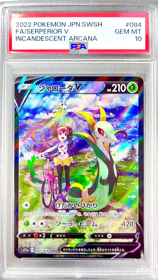 ★084/068/S11A/B ジャローダV 鑑定品