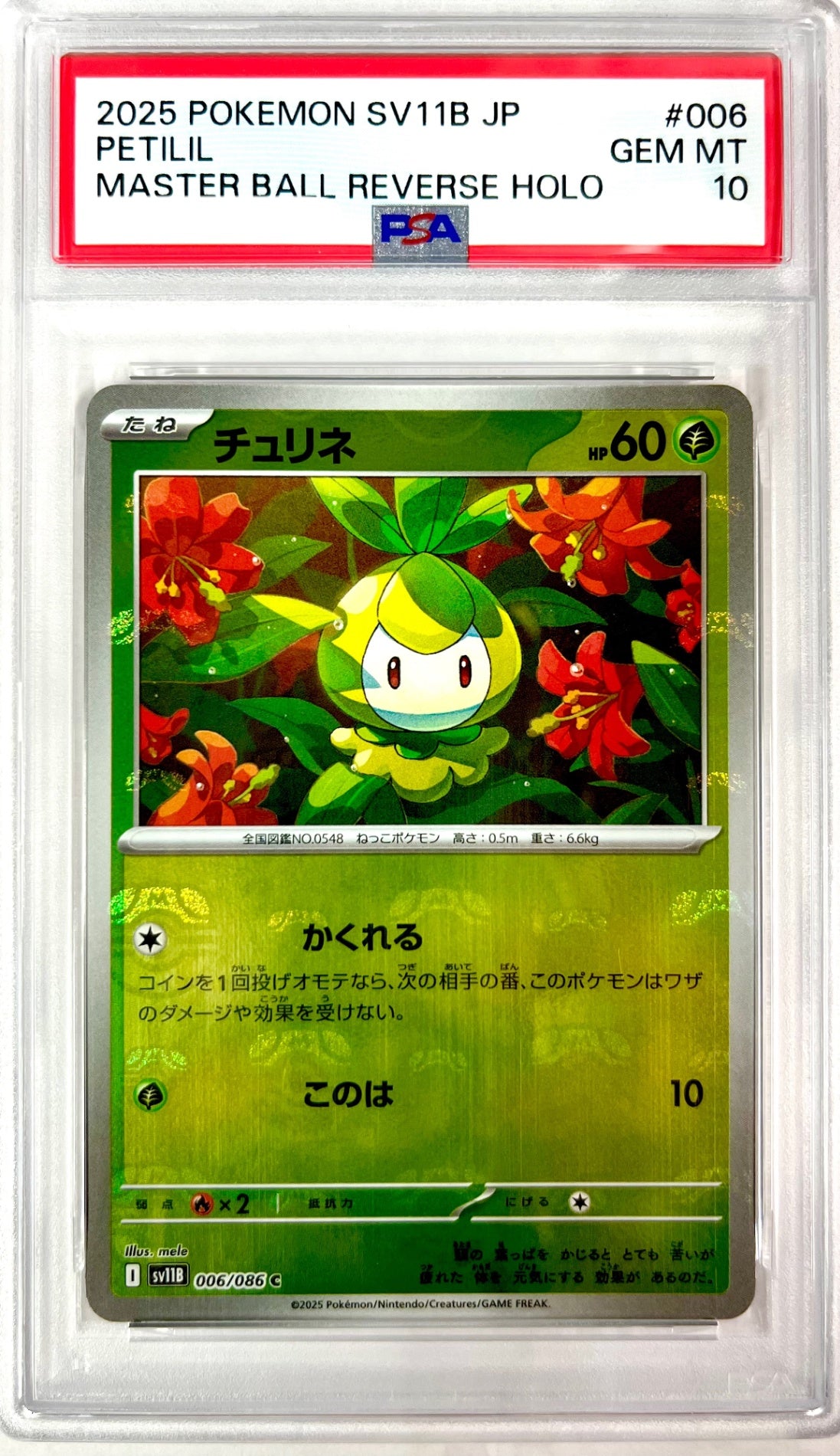 ★006/086 ミラー)チュリネ(マスターボール柄)　鑑定品