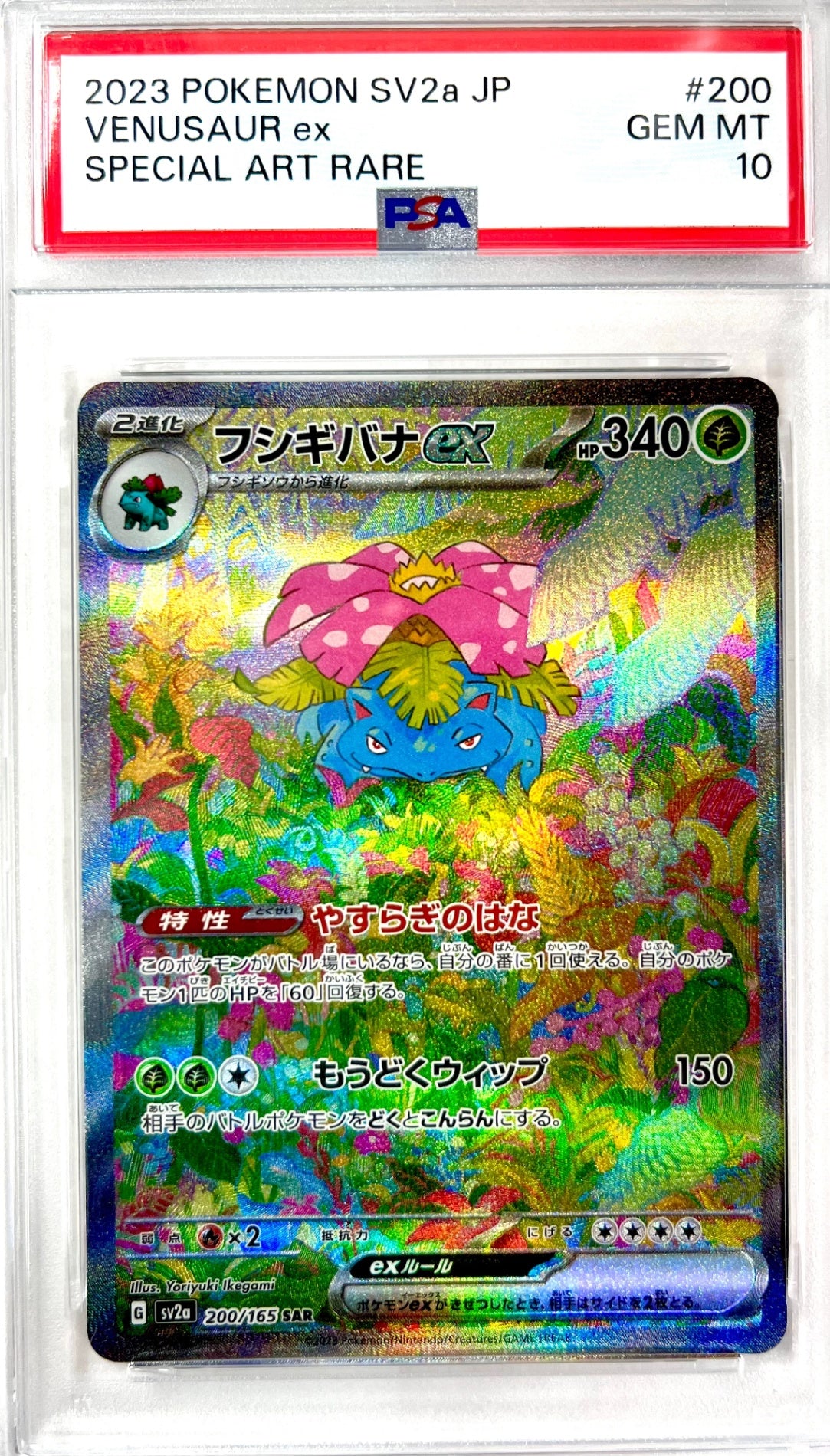 ★200/165/SV2A/B フシギバナex 鑑定品