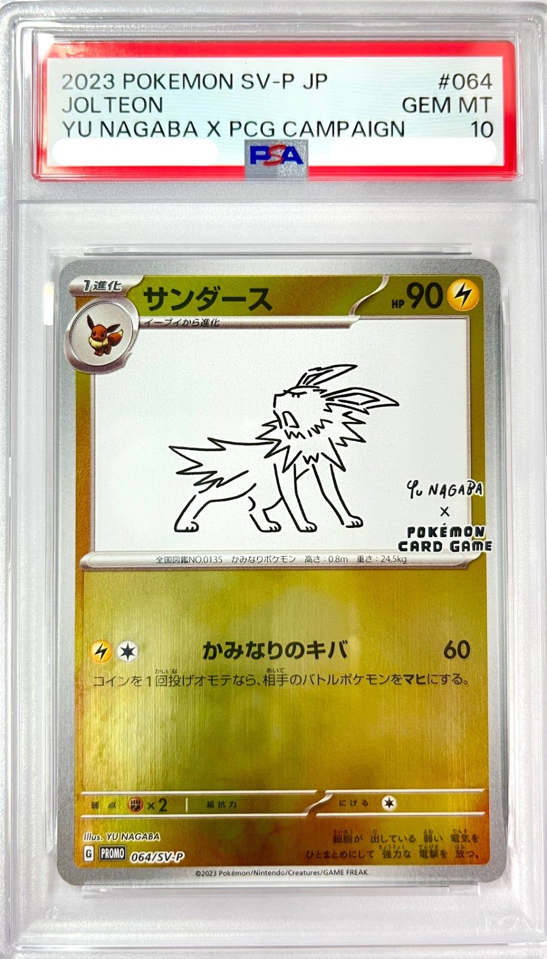 ★064/SV/P サンダース 鑑定品
