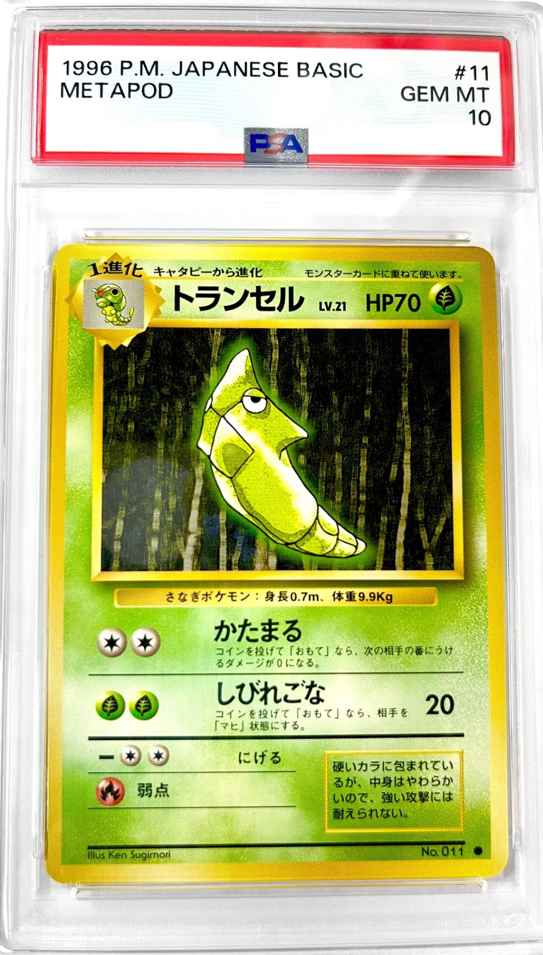★LV21HP70NO011-ORG1R トランセル　鑑定品